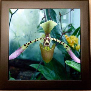Orchid Art - High Gloss Ceramic Tile Trivet
